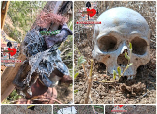 Localizan restos humanos y una fosa clandestina en Miguel Alemán