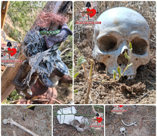 Localizan restos humanos y una fosa clandestina en Miguel Alemán