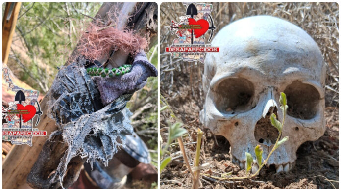 Localizan restos humanos y una fosa clandestina en Miguel Alemán