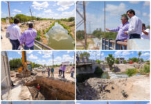 Avanza rehabilitación de puente en la colonia Burocrática para mejorar movilidad y seguridad