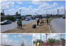 Limpieza urbana mejora vialidades y espacios públicos de Reynosa