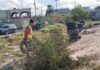 Limpia de área verde de la Avenida Revolución en la 16 de Septiembre