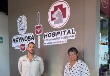 Liberó Control y Bienestar Animal a una zarigüeya en su hábitat natural