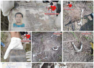 Localizan restos humanos y una credencial de elector durante búsqueda en Reynosa