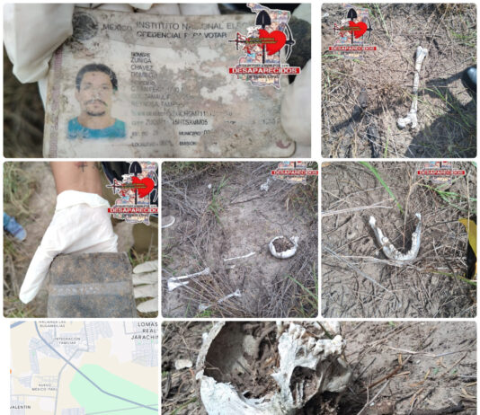 Localizan restos humanos y una credencial de elector durante búsqueda en Reynosa
